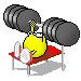 Muscu_3(1).gif