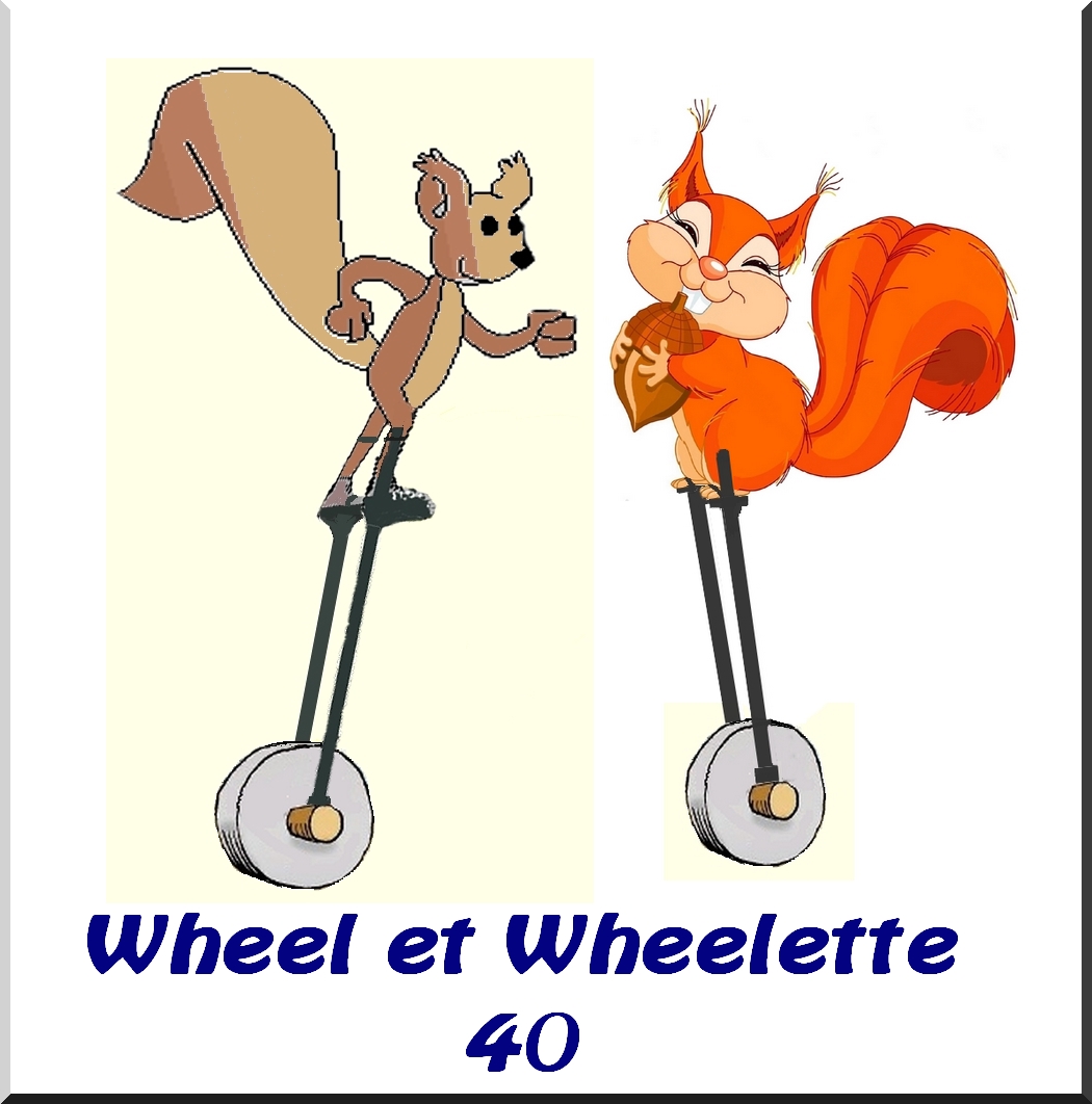 Wheel%20et%20Wheelette%2040(1).jpg