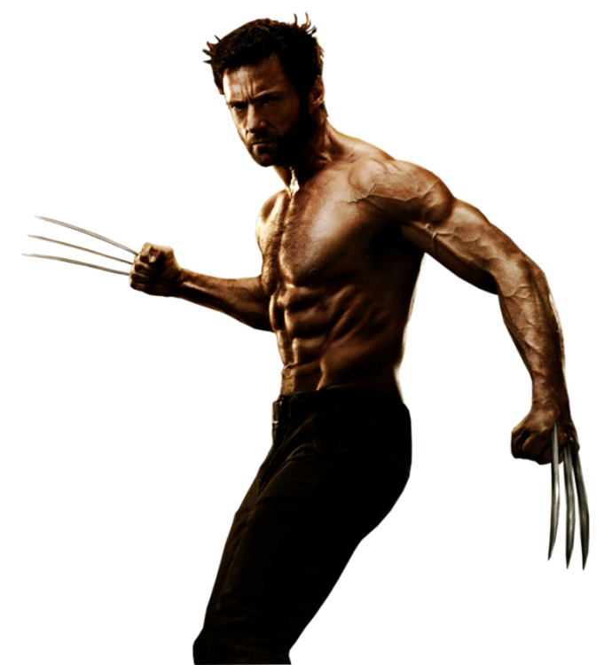 wolverine-770x849.png