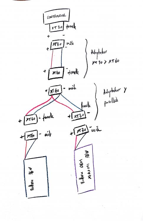 Schema batterie ext M365.jpg