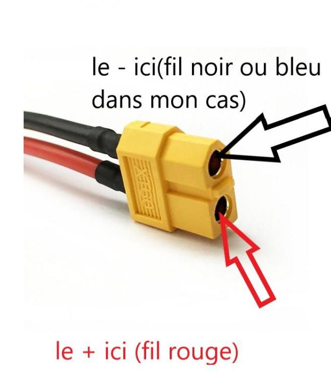 connecteur-xt60-femelle-sur-cables-awg14-de-10-cm.thumb.jpg.bd478ea6269e43b27c53533eea40faef.jpg