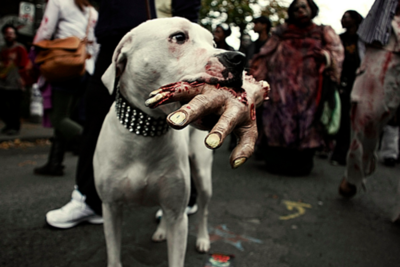 zombiedog.png.60bdb1a19ddca7d5274bfffadf41706c.png