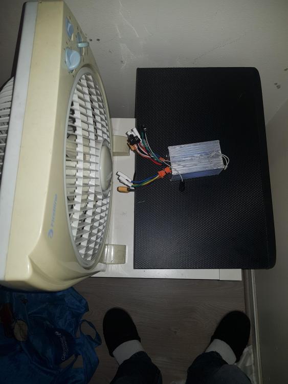20190820_100855.jpg