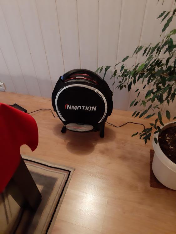20190920_073856.jpg