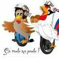 Ça roule ma poule !