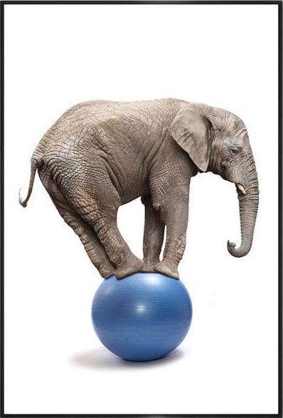 tableau-ballon-roule-esprit-elephant_2000x.jpg.3e6067f307fa91c5cd39a7cf9dbe1e2e.jpg