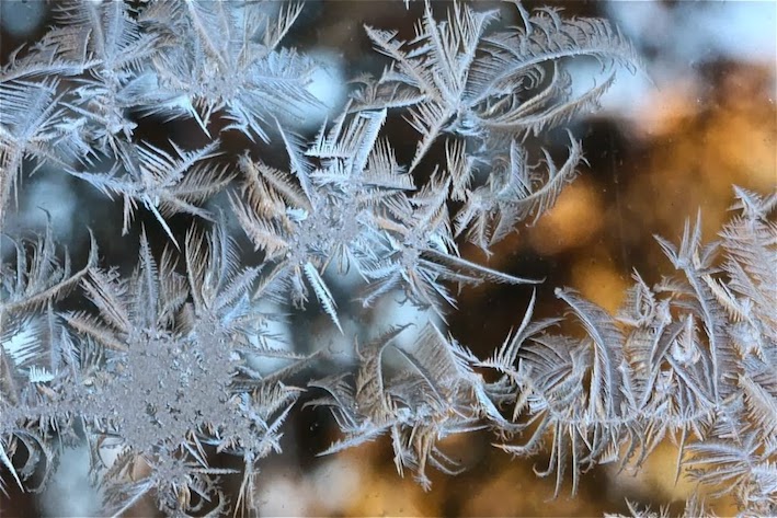 Les-magnifiques-fleurs-de-givre-ou-quand-la-glace-fait-de-l-art-sur-les-vitres-11.jpg.e74048c26b5d8a1c1d7dbbfd70809785.jpg