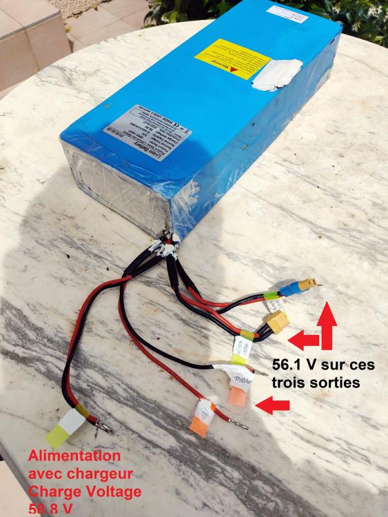 20220522 Vue 8 Batterie Laotie avec 8 fils en sortie Relevé Voltage 56.1 V.jpg