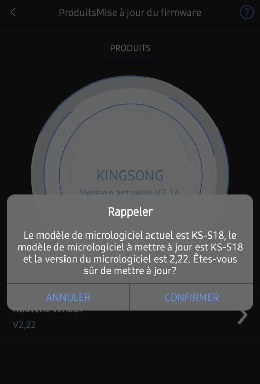 Screenshot_20240630_234728_KingSong.jpg