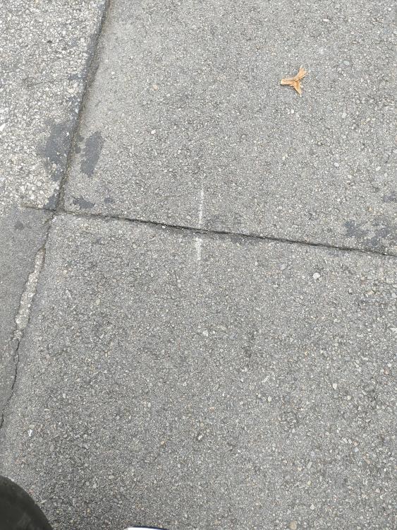 IMG20240720173158.jpg
