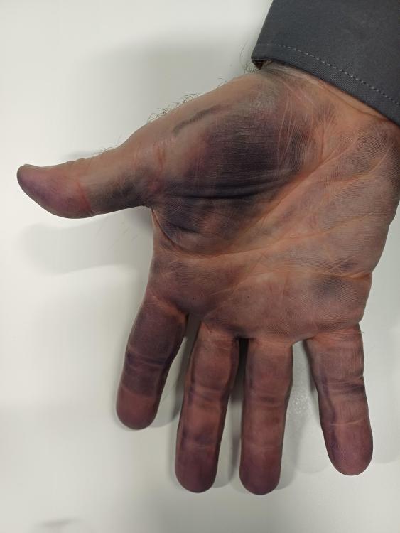 20250108_090519.thumb.jpg.b2208f770f709dc0eeb2fbf75c1664bd.jpg